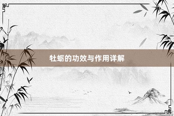 牡蛎的功效与作用详解
