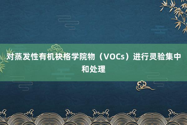 对蒸发性有机袂格学院物（VOCs）进行灵验集中和处理